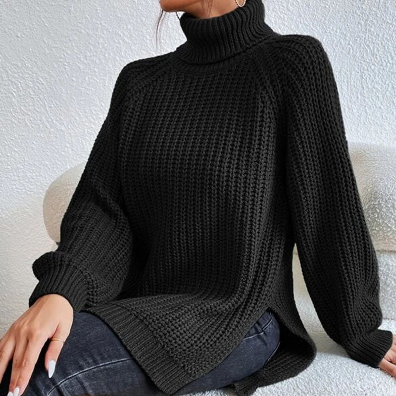 Casual turtleneck sweater