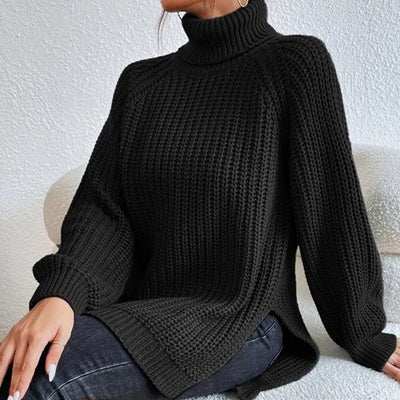 Casual turtleneck sweater