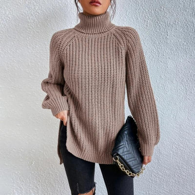 Casual turtleneck sweater
