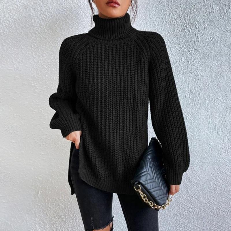 Casual turtleneck sweater