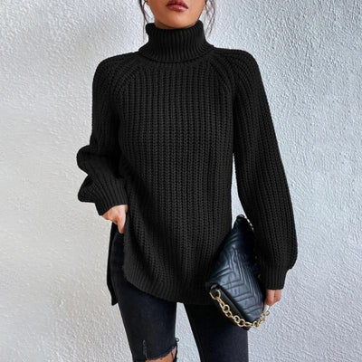 Casual turtleneck sweater