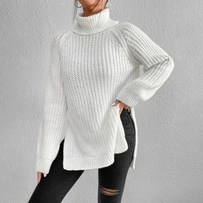 Casual turtleneck sweater