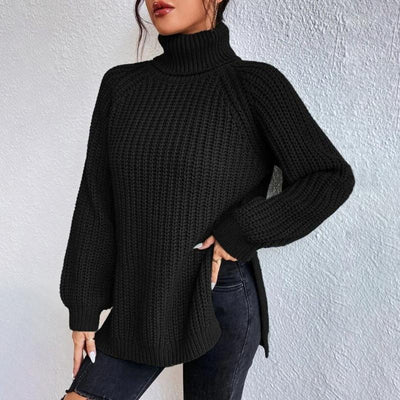 Casual turtleneck sweater