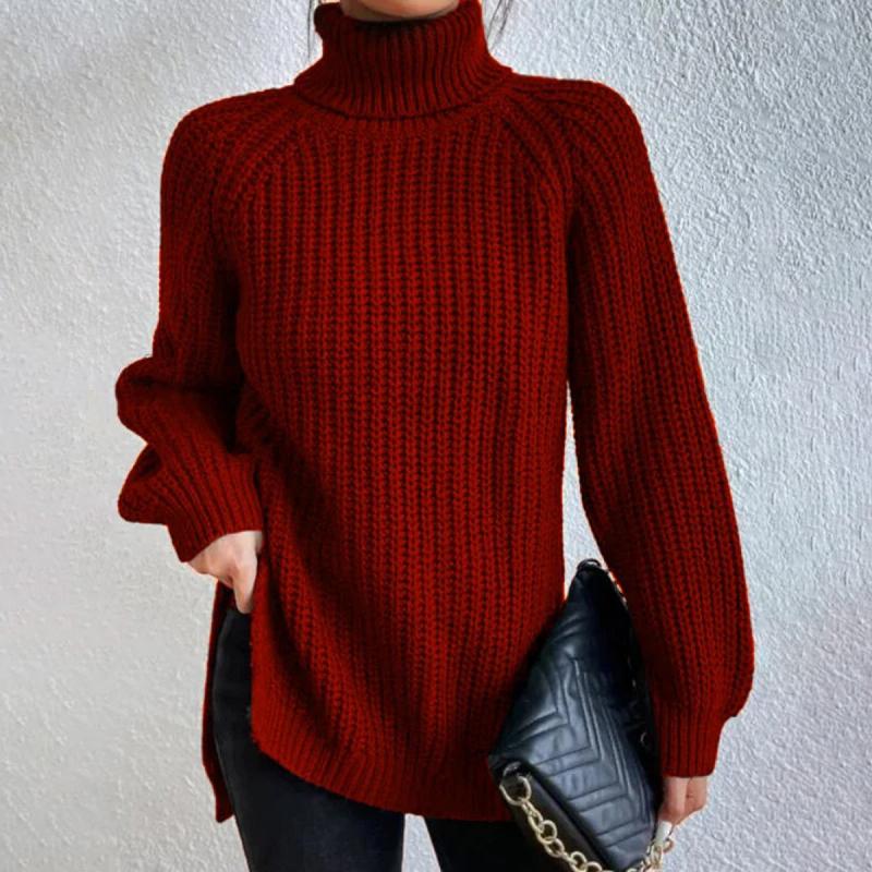 Casual turtleneck sweater