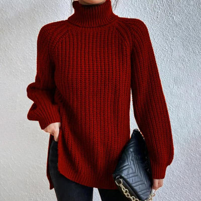 Casual turtleneck sweater