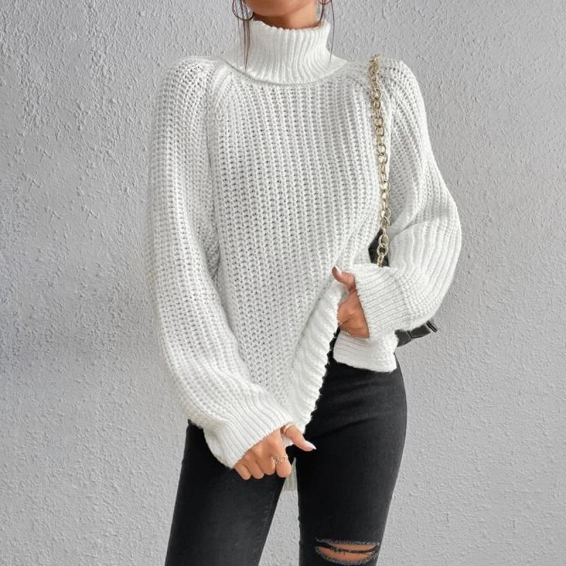 Casual turtleneck sweater