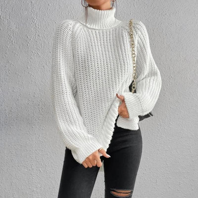 Casual turtleneck sweater