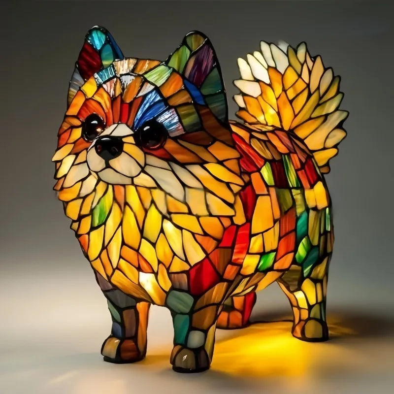 Simba | Pomeranian Sunburst Lightweight